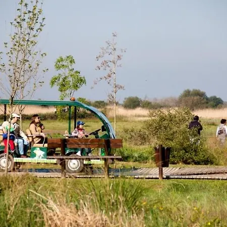 Bandeira's House * Antua