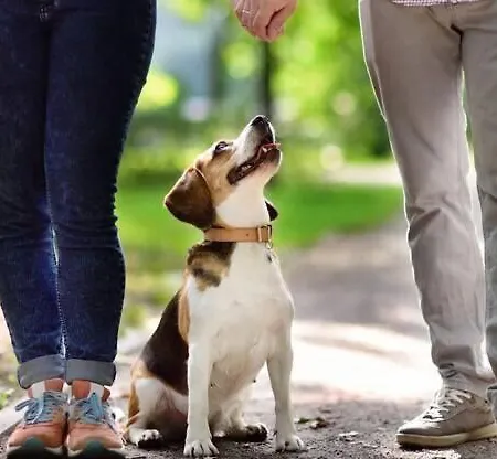 Hébergement de vacances Bandeira's House Antua