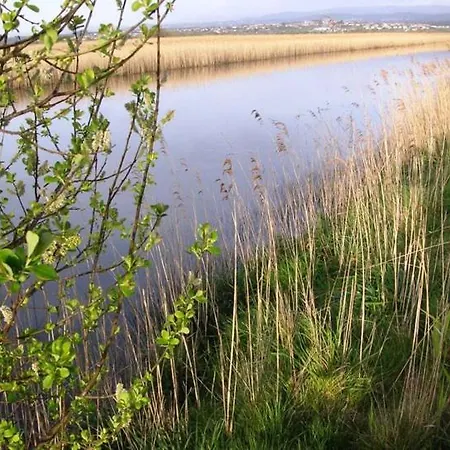 Bandeira's House Antua