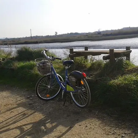 Bandeira's House Hébergement de vacances Antua